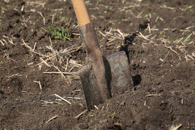 Photo of Shovel with wooden handle in soil outdoors