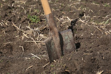 Shovel with wooden handle in soil outdoors