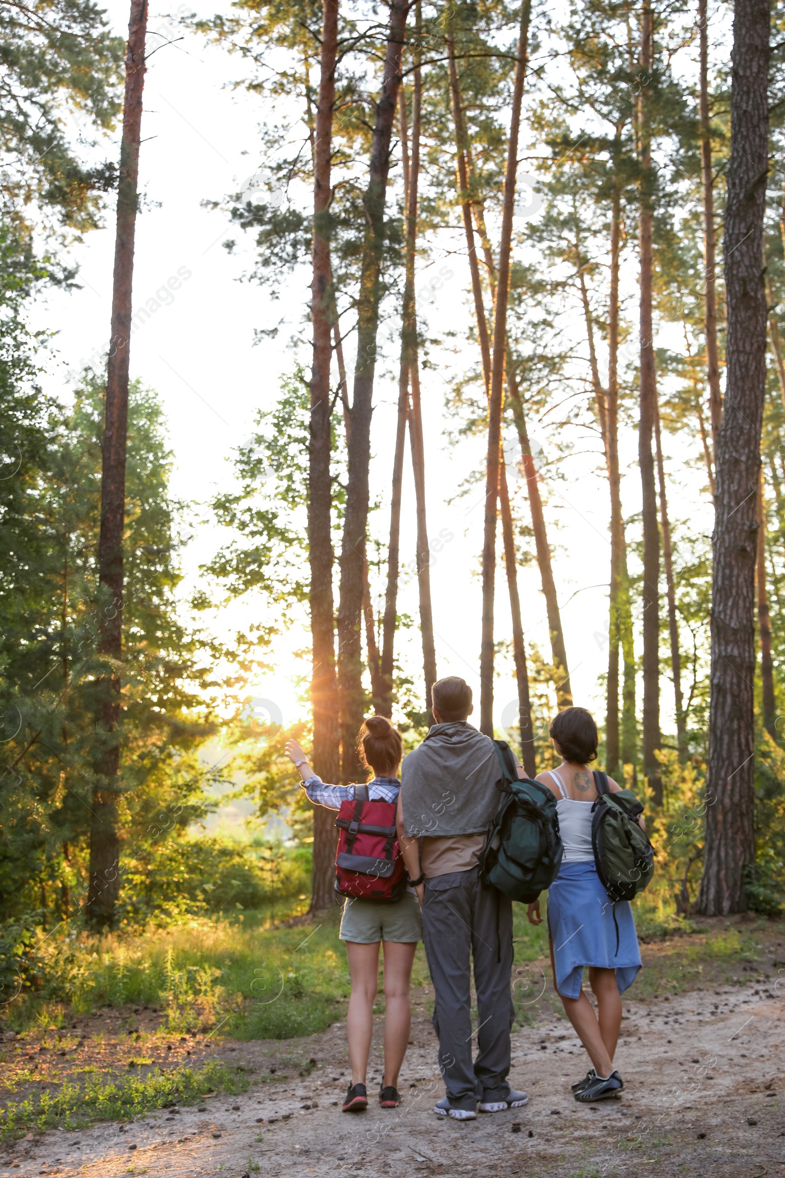 Photo of Young friends in forest on summer day. Camping season