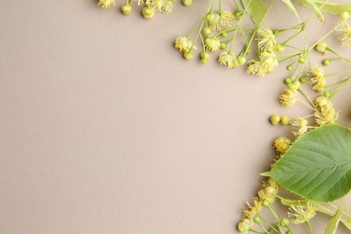 Beautiful linden blossoms and green leaves on dark beige background, flat lay. Space for text