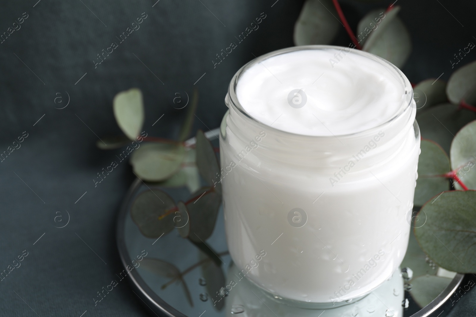 Photo of Jar of hand cream and eucalyptus branches on grey background, space for text