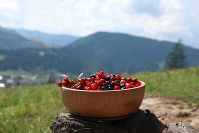 Photo of Bowl of fresh ripe berries on stump in mountains