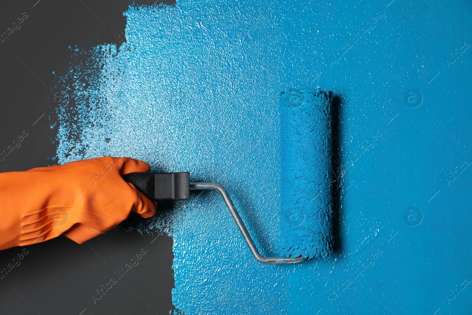 Photo of Woman painting grey wall with blue dye, closeup