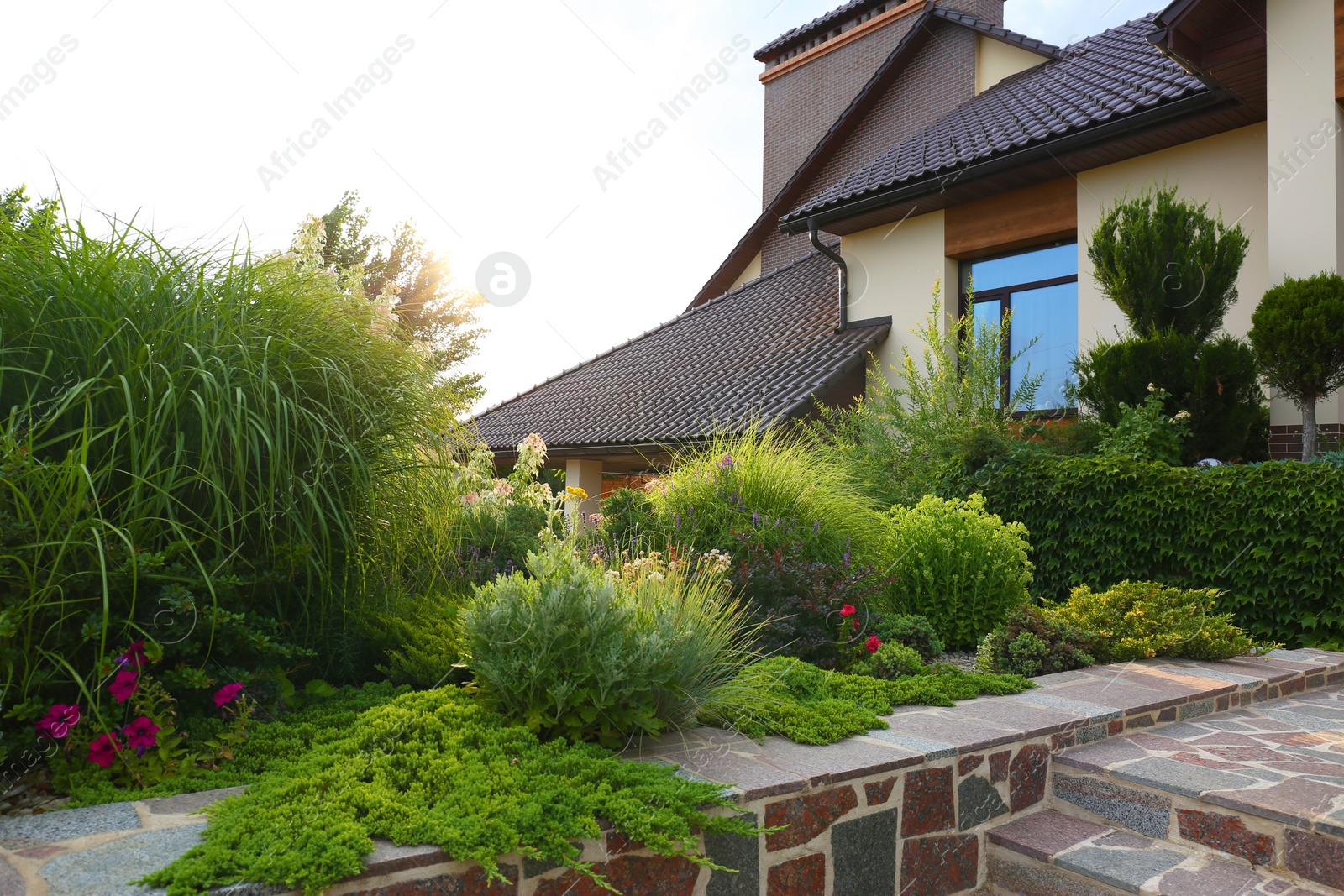 Photo of Beautiful landscape with green garden near modern house on summer day