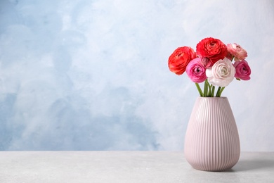 Photo of Beautiful fresh ranunculus flowers on white table near color wall, space for text