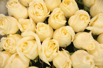 Photo of Beautiful white roses as background, closeup. Floral decor