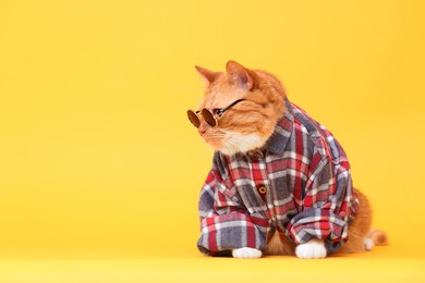 Photo of Cute ginger cat in stylish sunglasses and checkered shirt on yellow background. Space for text