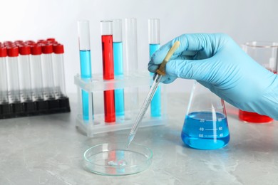 Scientist dripping liquid from pipette into petri dish at grey marble table, closeup