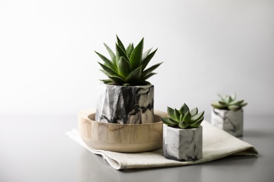 Photo of Beautiful potted succulents on light grey table