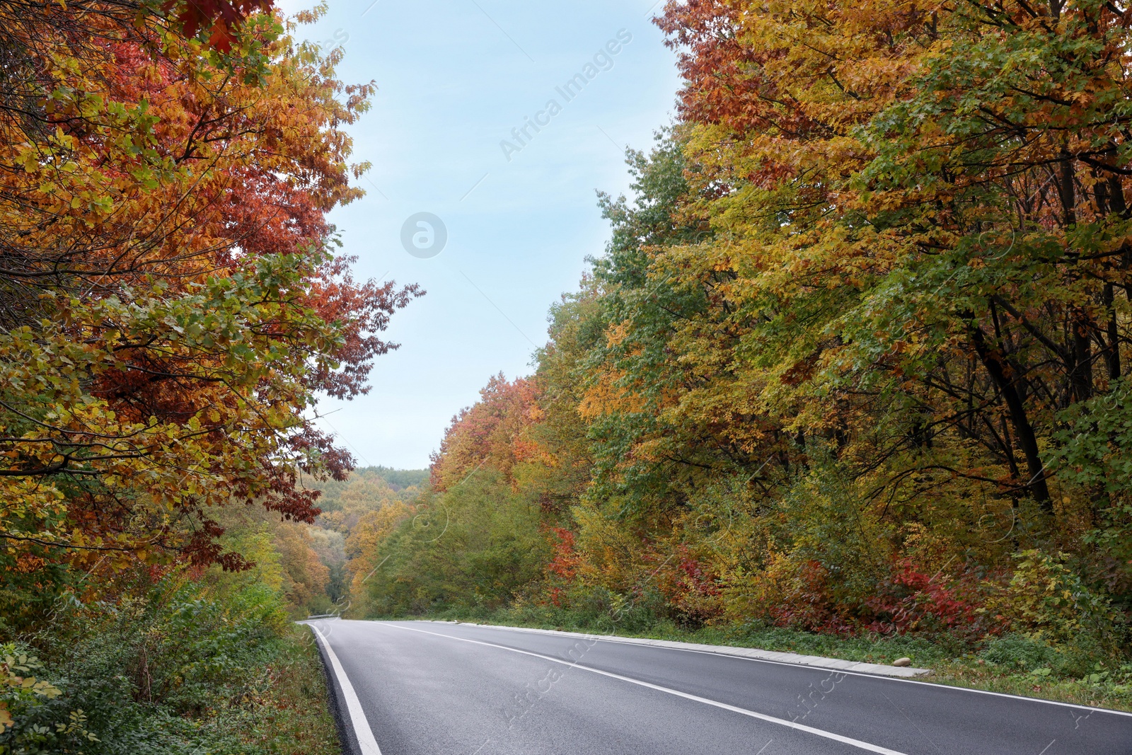 Photo of Beautiful view of asphalt highway going through autumn forest