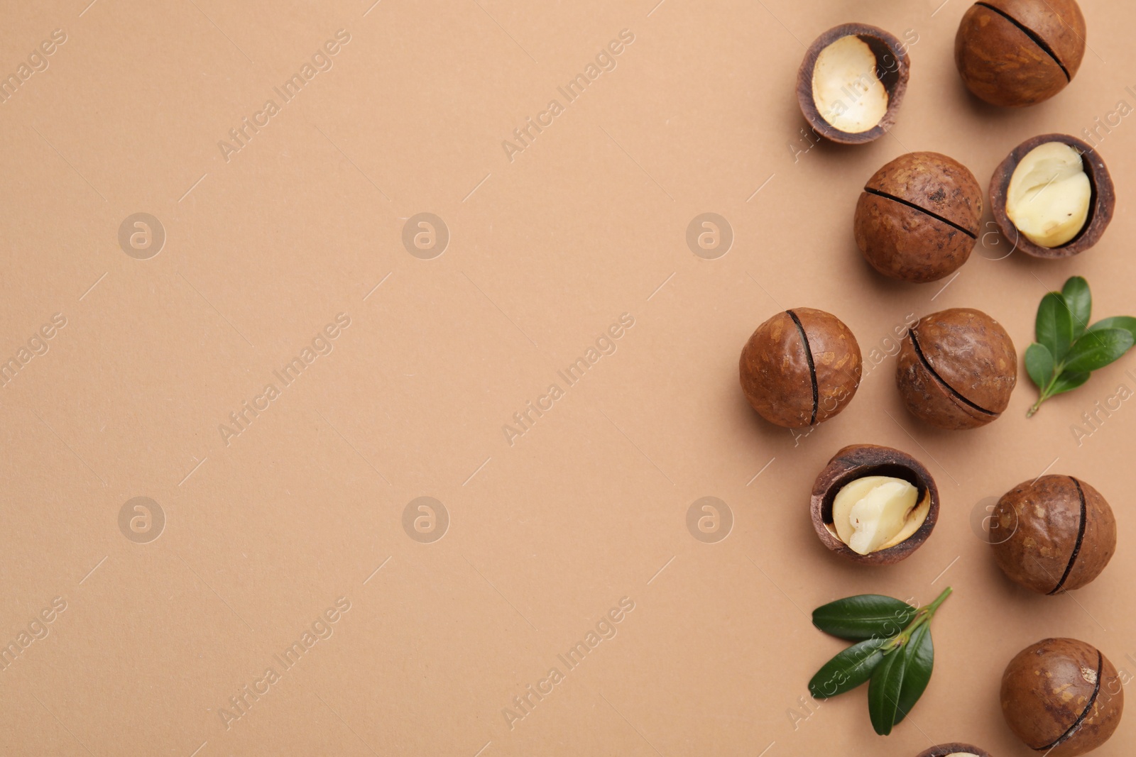Photo of Tasty Macadamia nuts and green leaves on beige background, flat lay. Space for text