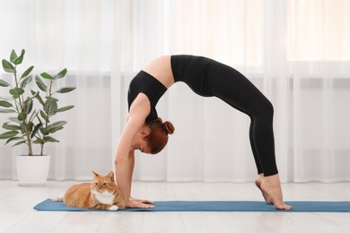 Photo of Beautiful woman with cute red cat practicing yoga on mat at home