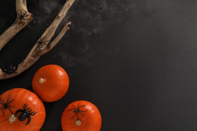 Halloween composition with pumpkins, decorative spiders and wooden branch on black background, flat lay. Space for text