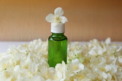 Photo of Bottle of jasmine essential oil on white flowers, closeup