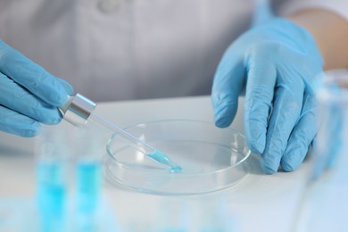 Photo of Scientist dripping liquid from pipette into petri dish at table, closeup
