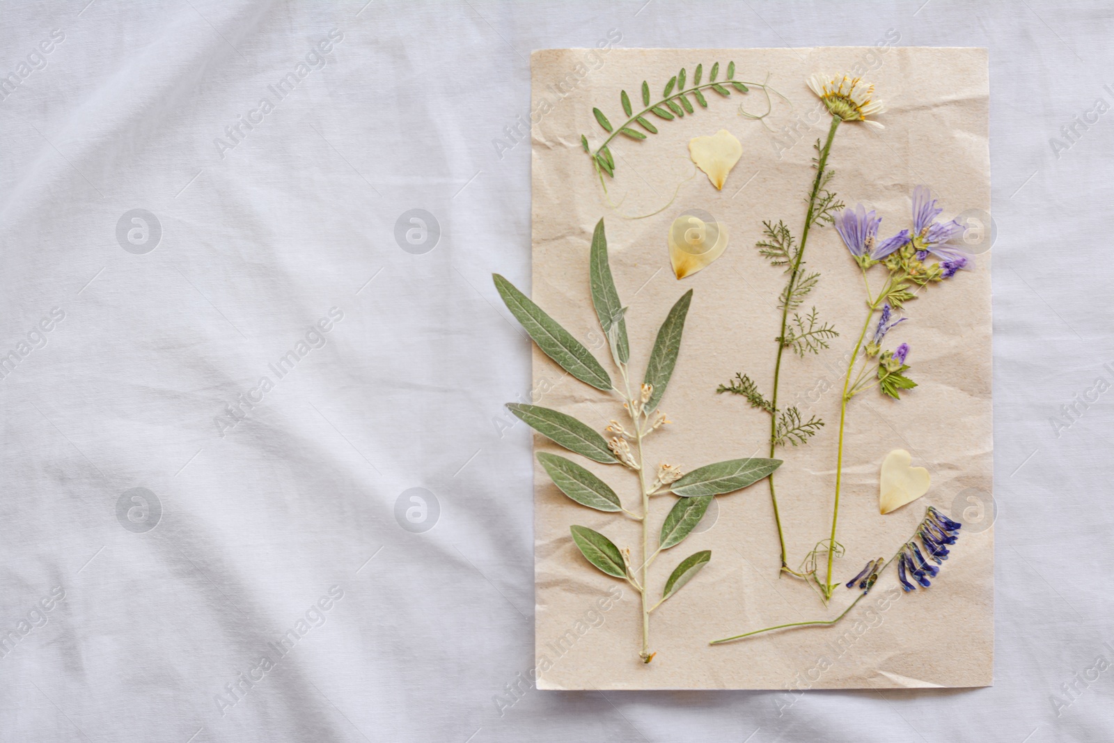 Photo of Sheet of paper with dried flowers and leaves on white fabric, top view. Space for text