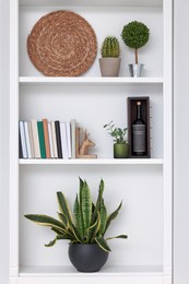 Photo of Shelves with houseplants and different decor indoors. Interior design