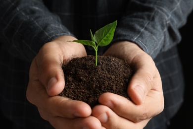 Photo of Man holding pile of soil and seedling, closeup