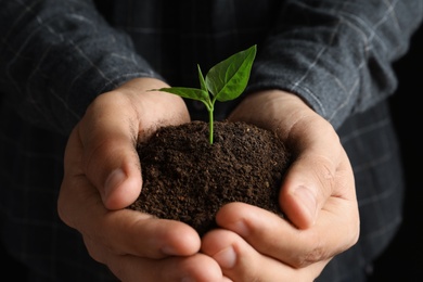 Man holding pile of soil and seedling, closeup