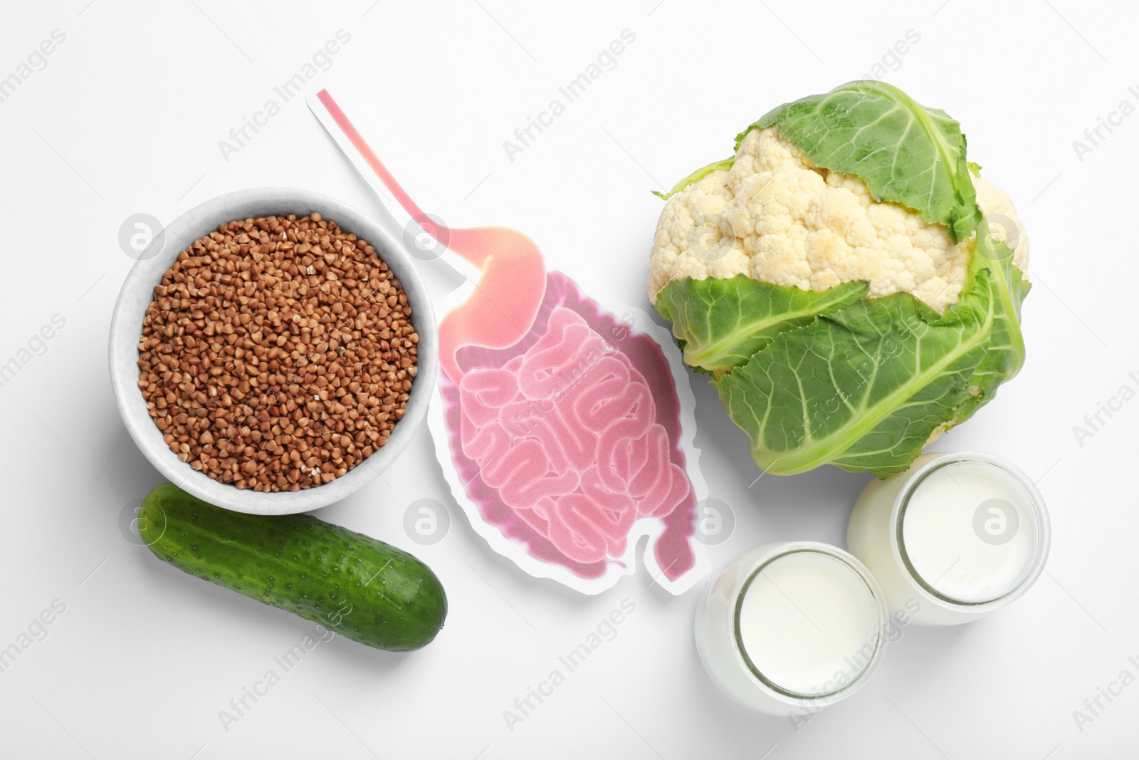 Photo of Gastrointestinal tract model and products to help digestion on white background, top view