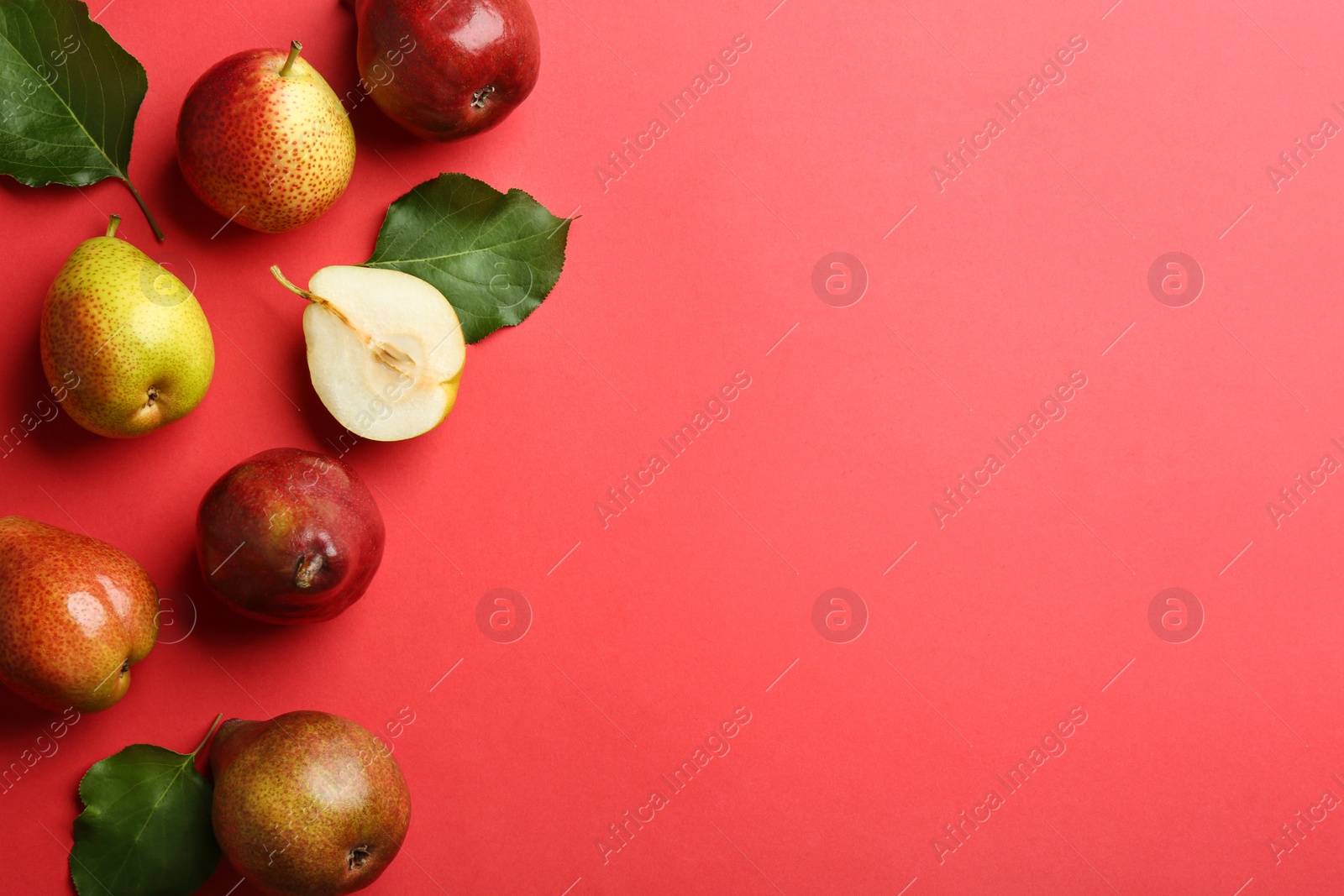 Photo of Ripe juicy pears on red background, flat lay. Space for text