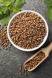 Dried coriander seeds with green leaves in bowl and scoop on gray textured table, flat lay