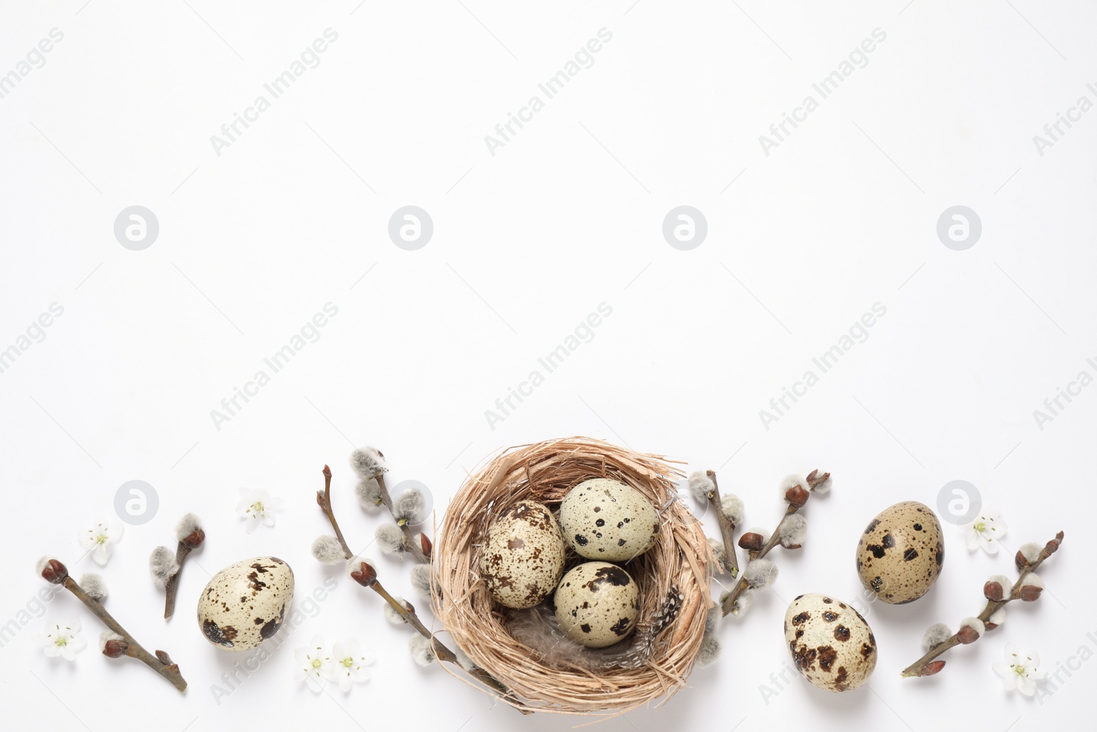 Photo of Flat lay composition with quail eggs on white background, space for text. Easter celebration