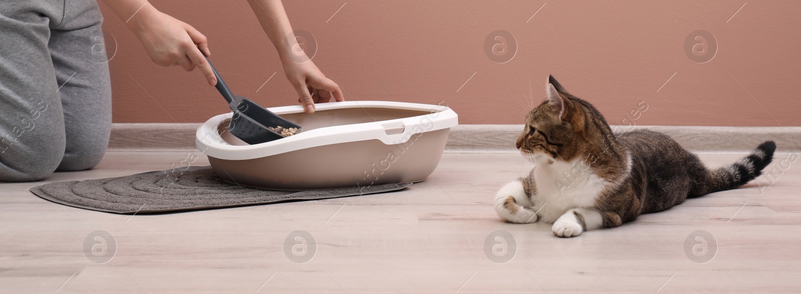 Image of Woman cleaning cat litter tray at home, closeup. Banner design