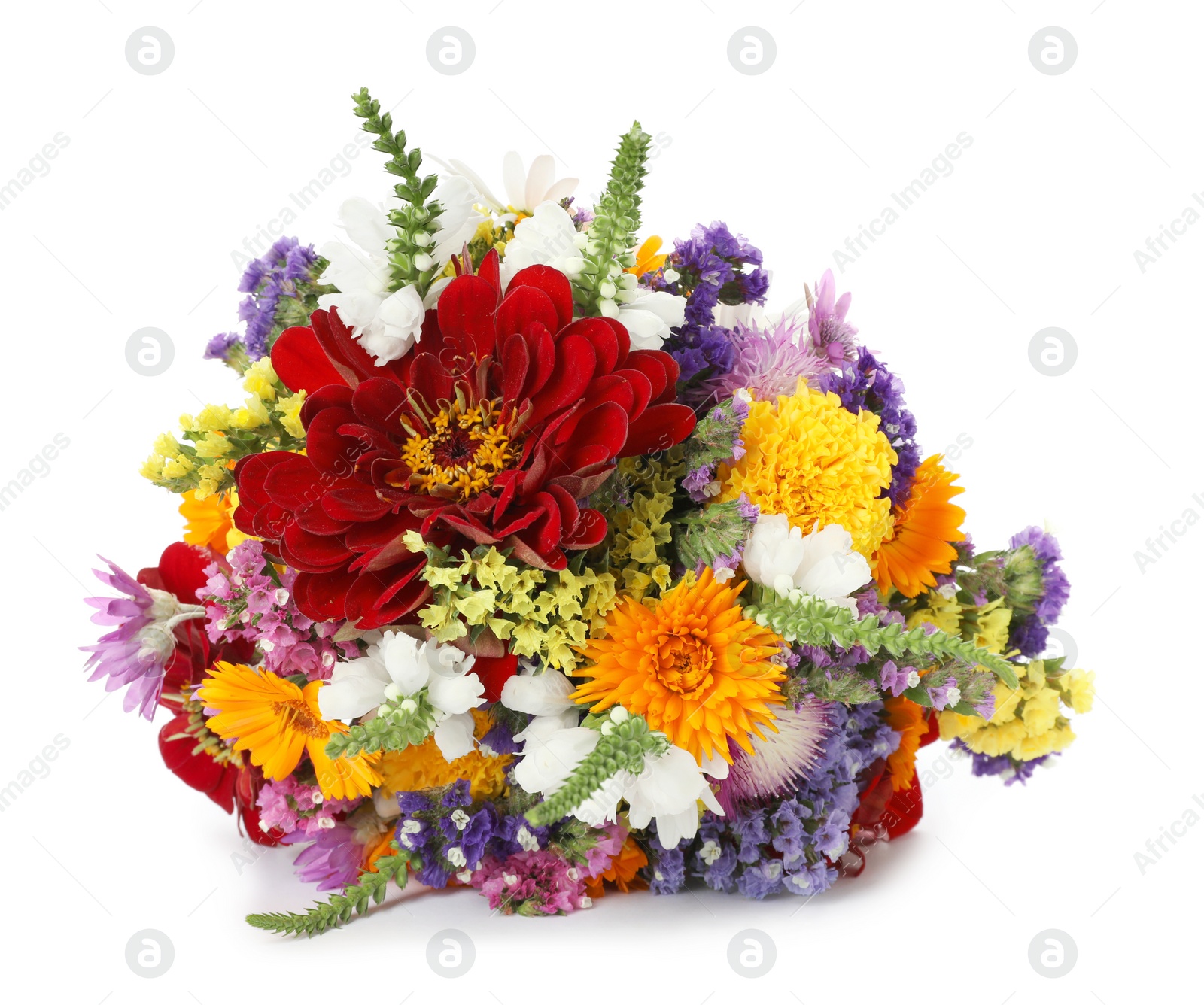 Photo of Bunch of beautiful wild flowers on white background