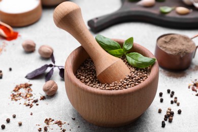 Photo of Mortar with pestle and different spices on light grey table, closeup