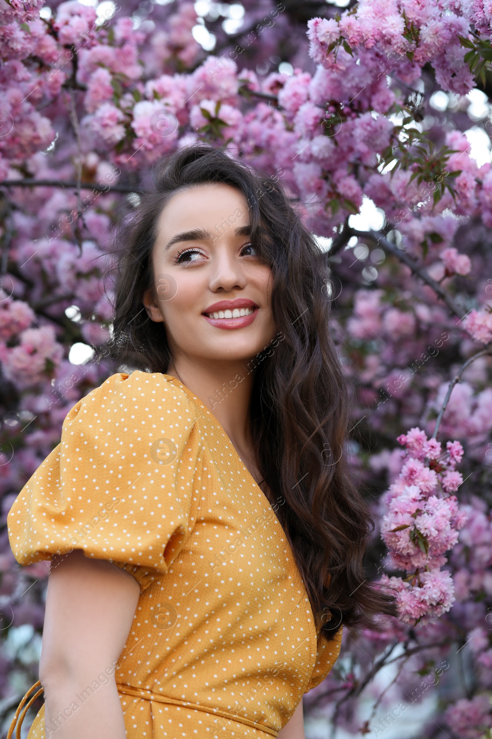 Photo of Beautiful woman near blossoming sakura tree on spring day