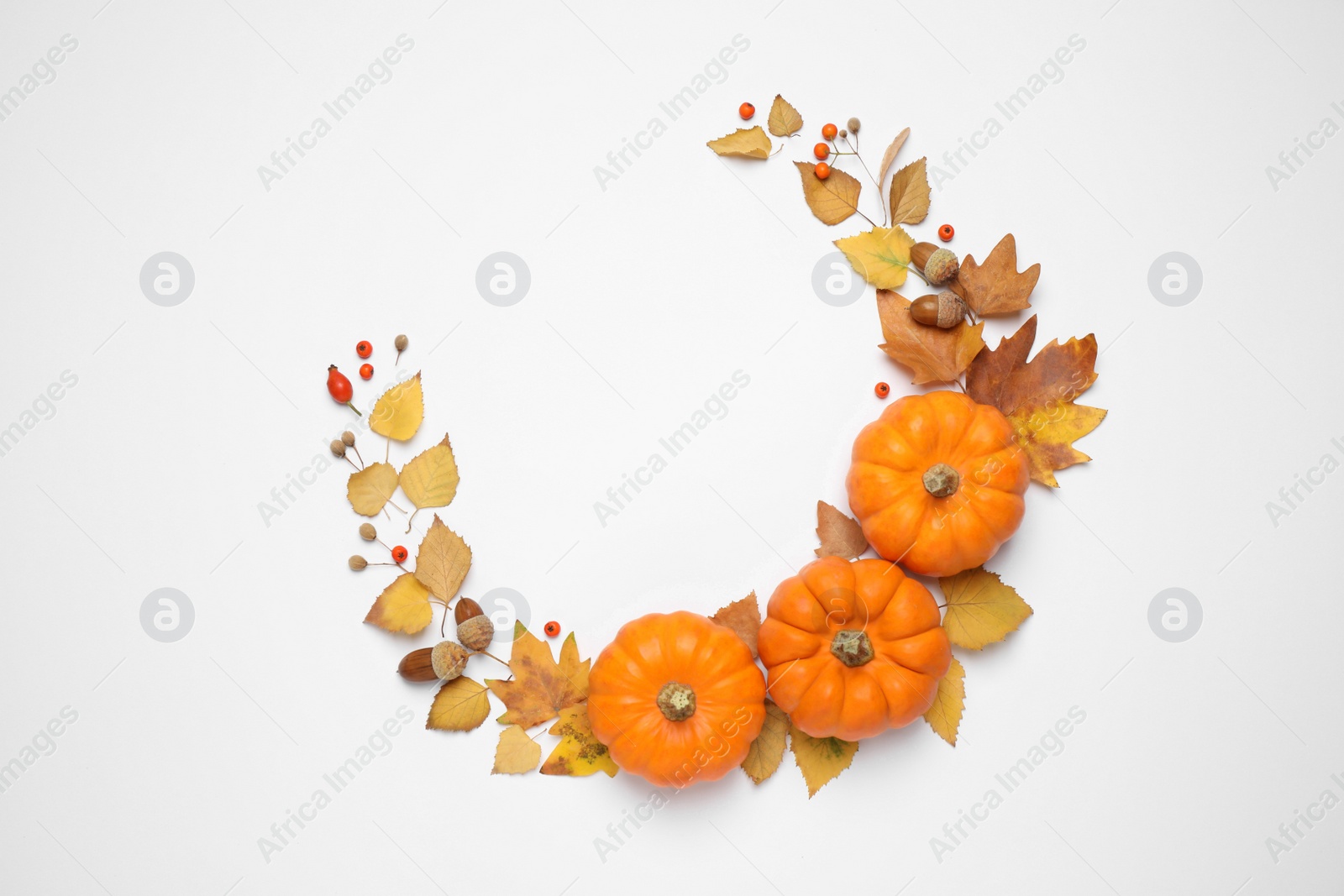 Photo of Composition with ripe pumpkins, autumn leaves, berries and acorns on white background, top view