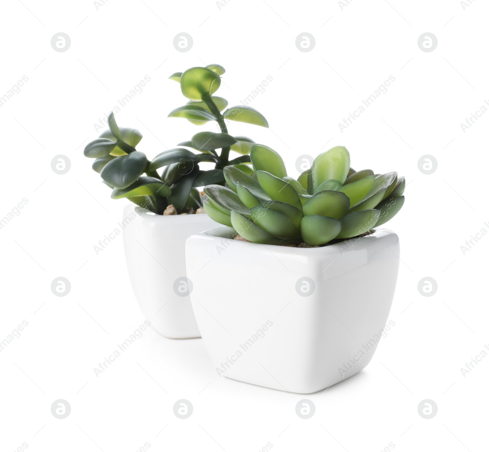 Photo of Beautiful artificial plants in flower pots isolated on white