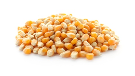 Photo of Raw corn kernels on white background. Healthy grains and cereals