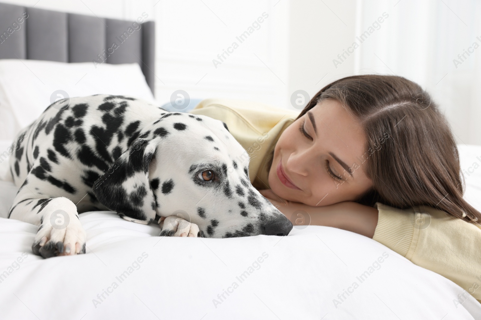 Photo of Beautiful woman with her adorable Dalmatian dog on bed at home. Lovely pet