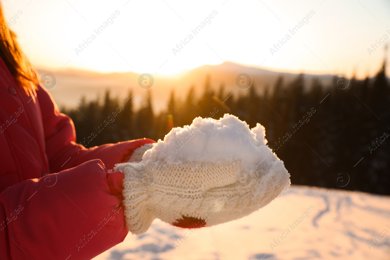 Photo of Woman holding pile of snow outdoors, closeup. Winter vacation