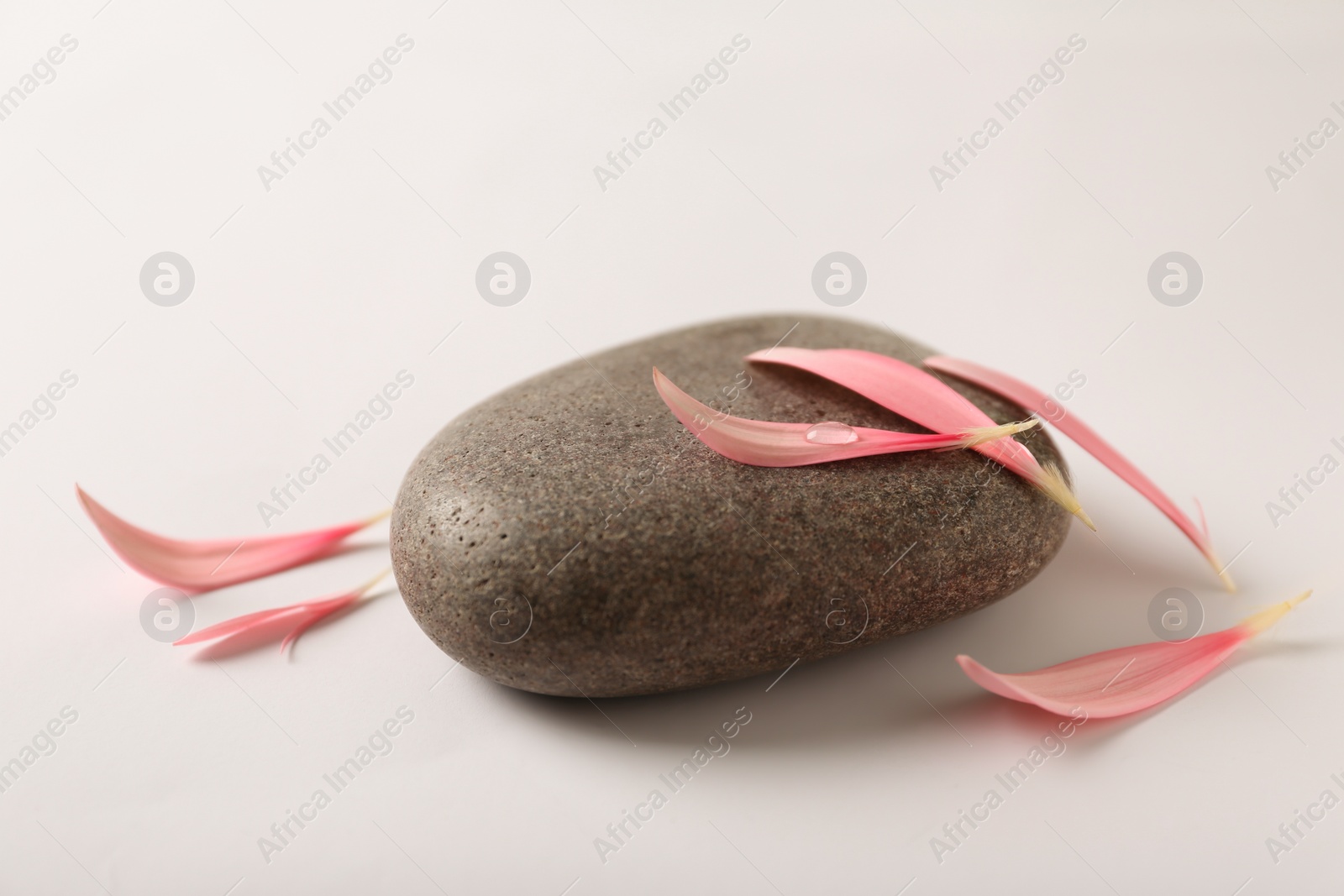 Photo of Spa stone with flower petals on light background