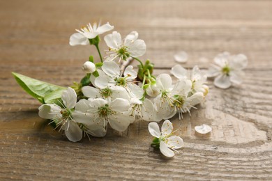 Spring blossoms and petals on wooden table, closeup