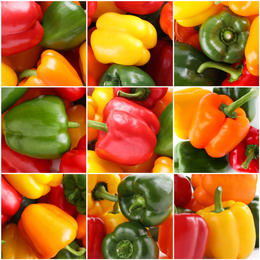 Image of Collage with different fresh ripe bell peppers