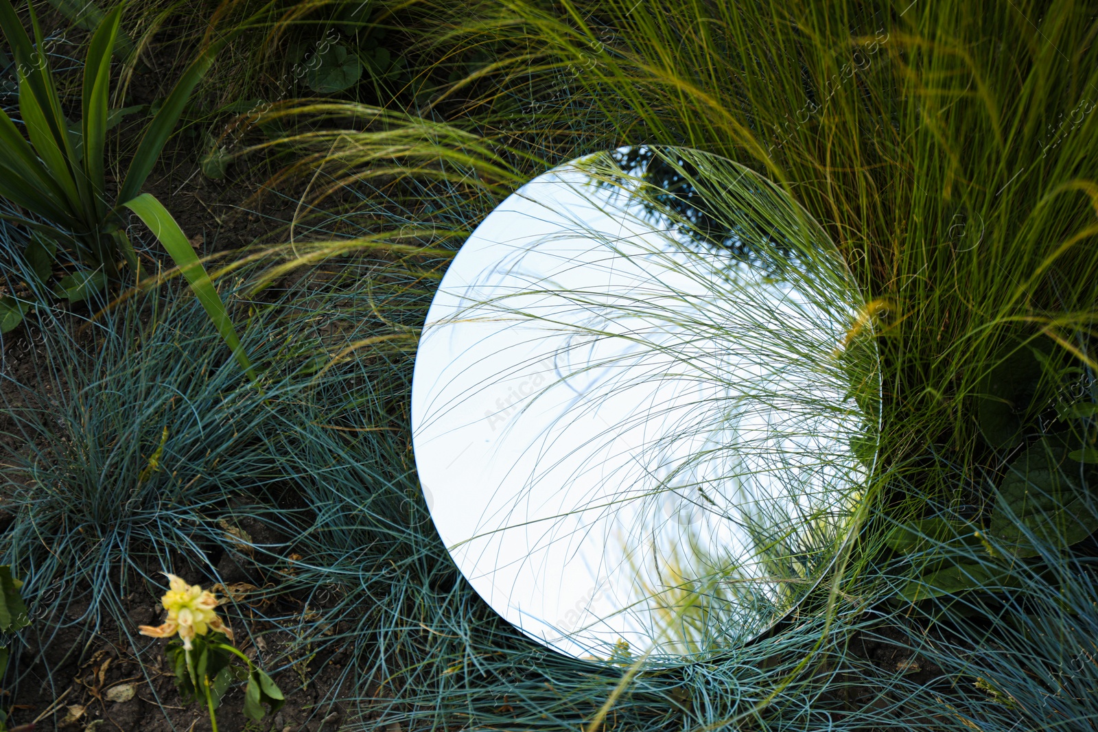Photo of Round mirror among grass reflecting tree and sky. Space for text