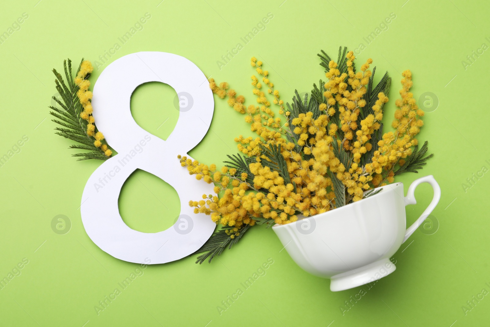 Photo of 8 March greeting card design with beautiful mimosa flowers on green background, flat lay