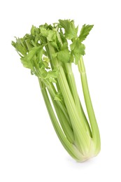 Fresh green celery bunch isolated on white