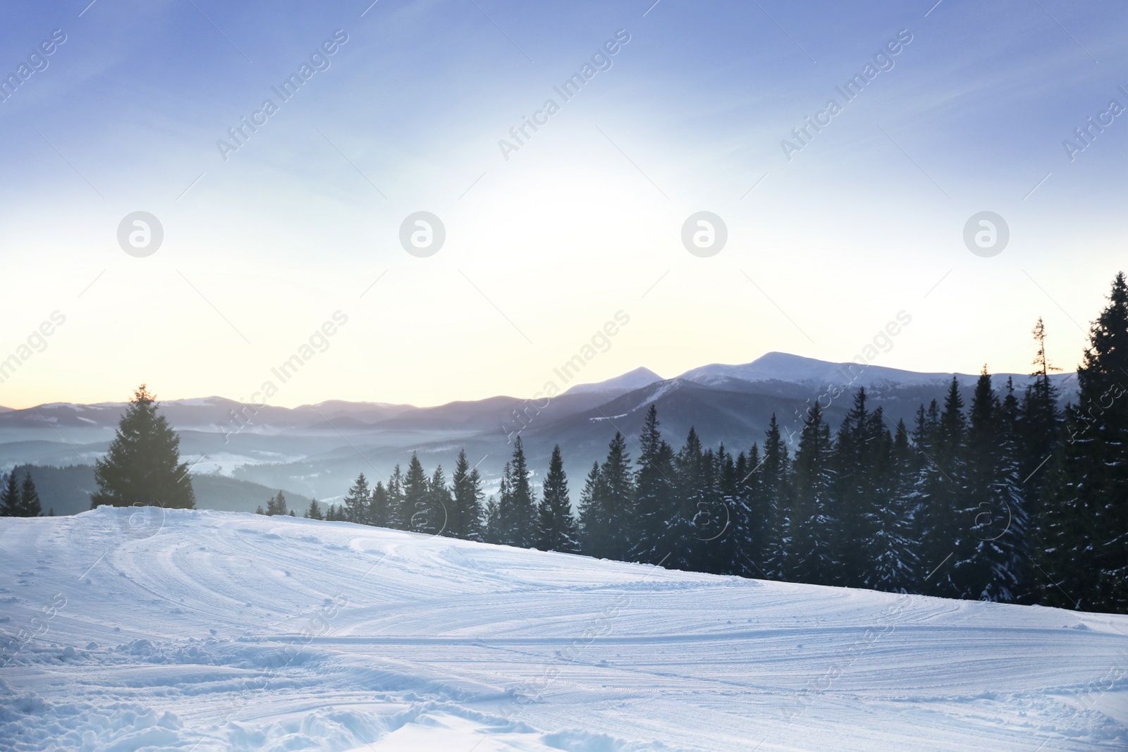 Photo of Picturesque view of snowy hill and conifer forest. Winter beauty