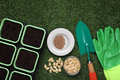 Photo of Flat lay composition with vegetable seeds and gardening tools on green grass