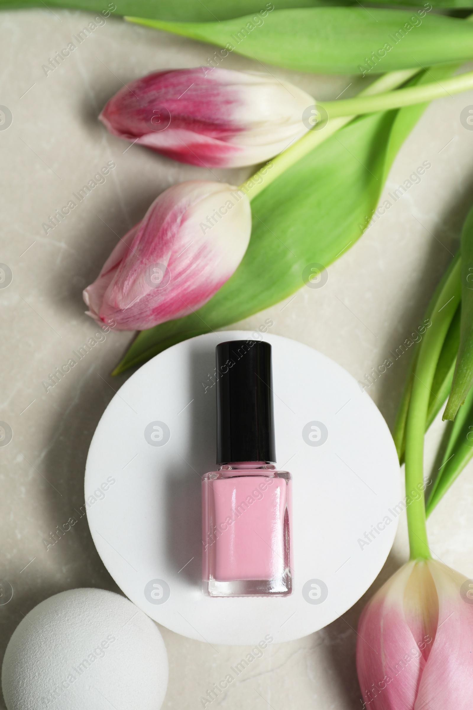 Photo of Flat lay composition with bright nail polish in bottle and tulip flowers on light textured table