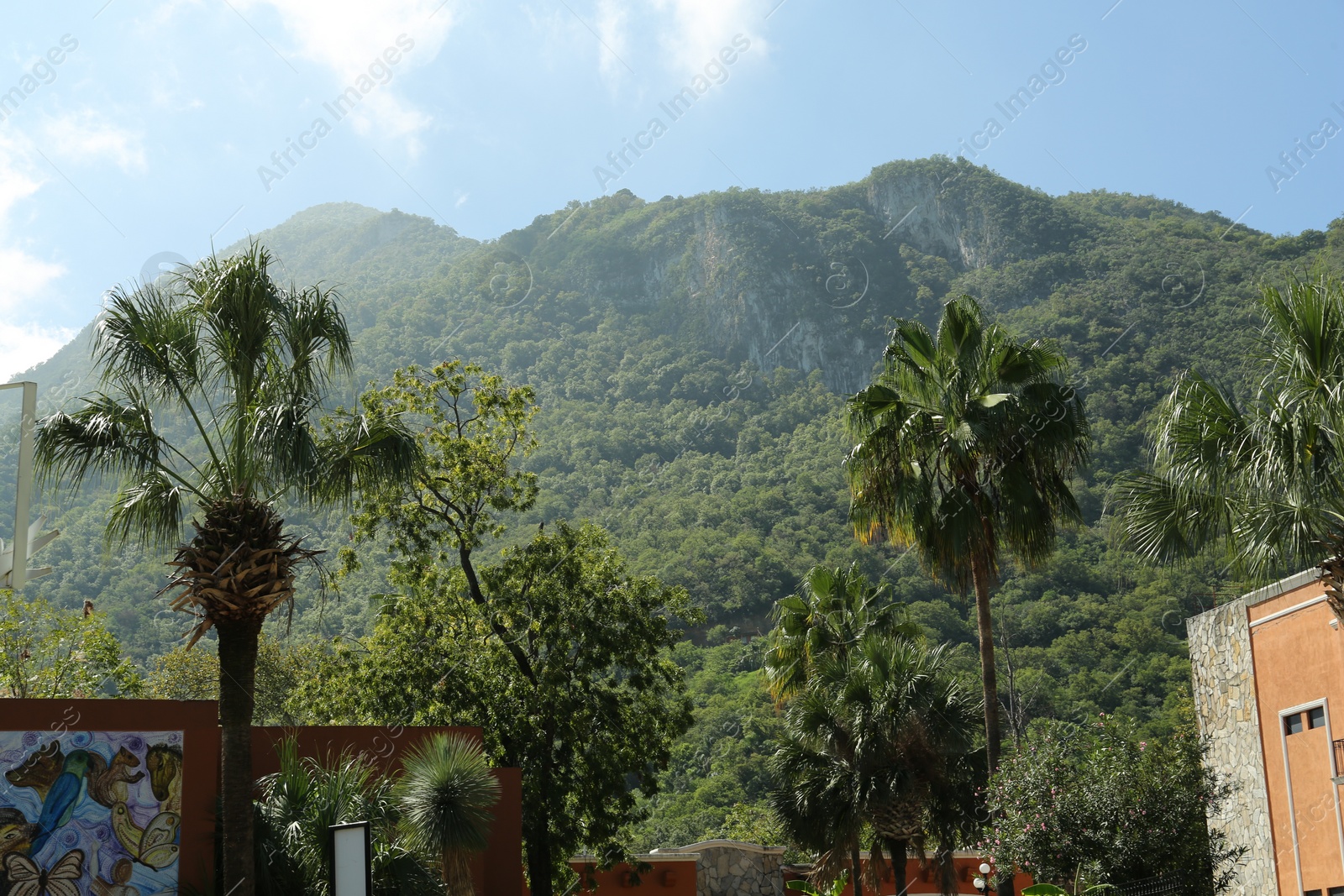 Photo of View of city buildings and palm trees near beautiful mountain