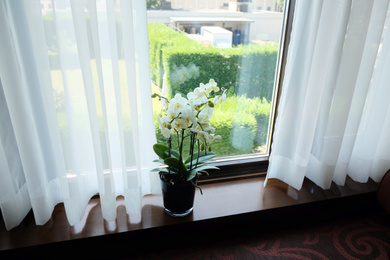 Photo of Beautiful orchid flowers on wooden window sill