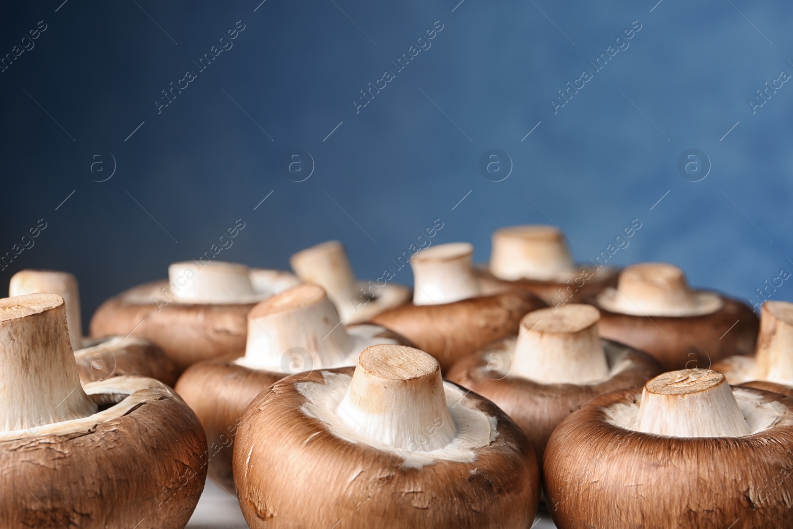 Photo of Fresh champignon mushrooms on color background, closeup. Space for text