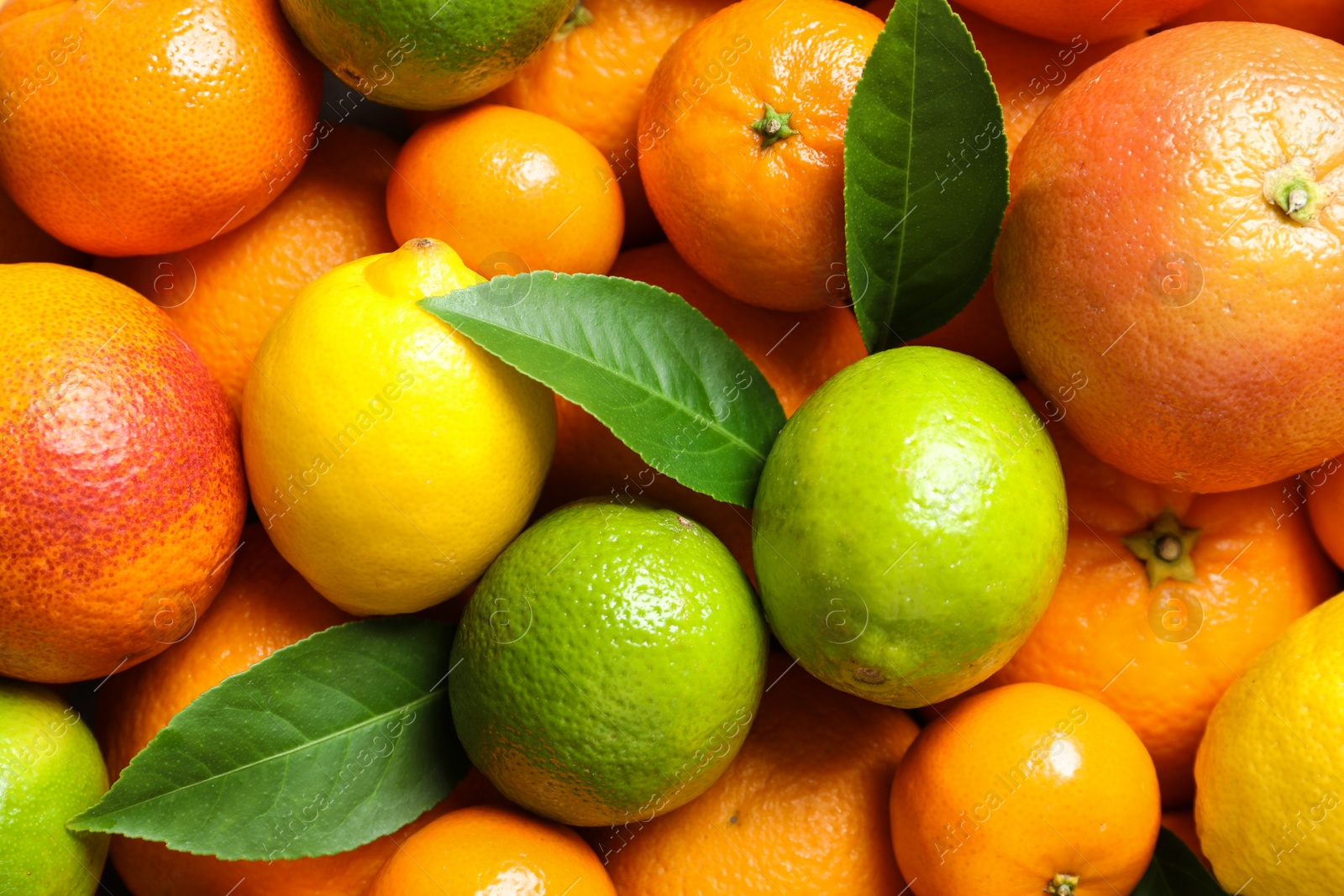 Photo of Different citrus fruits as background, top view