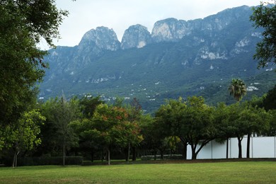 Photo of Picturesque view of beautiful park with green trees and grass in mountains